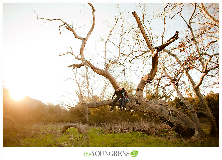 san diego engagement session, engagement session with dogs, meadow engagement session