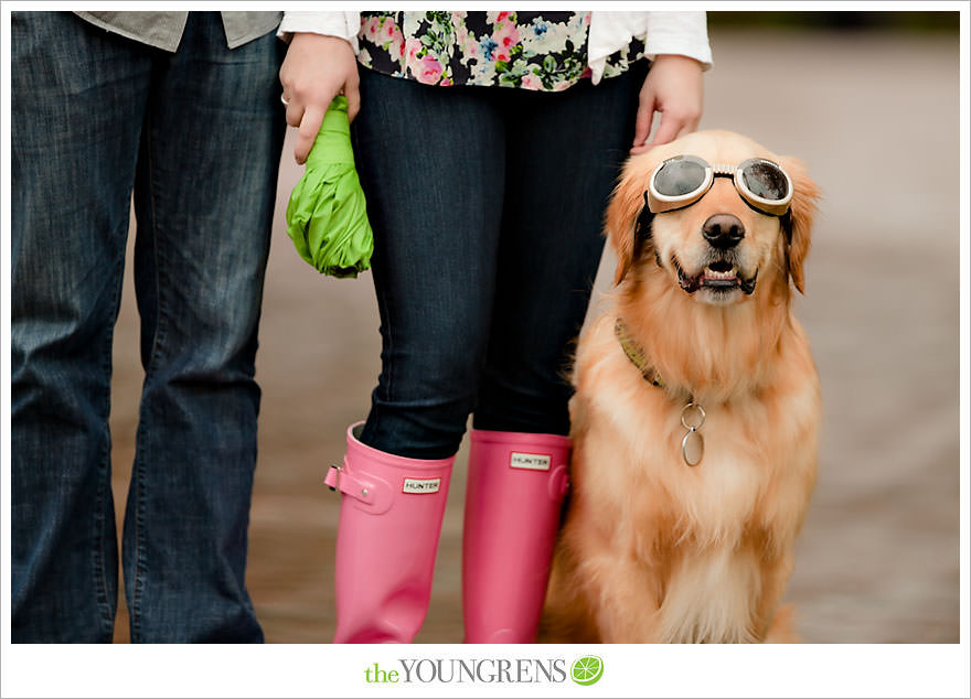 Seattle engagement session, University of Washington engagement, Washington engagement, dog engagement, engagement with doggles, rain-themed engagement, Hunter boots engagment, Vans engagement, cherry blossoms engagement, cherry blossoms at University of Washington