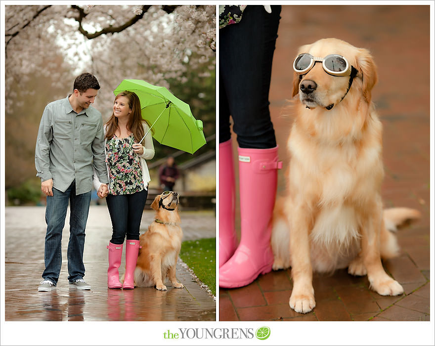 Seattle engagement session, University of Washington engagement, Washington engagement, dog engagement, engagement with doggles, rain-themed engagement, Hunter boots engagment, Vans engagement, cherry blossoms engagement, cherry blossoms at University of Washington