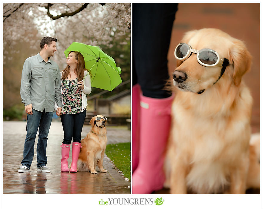 Seattle engagement session, University of Washington engagement, Washington engagement, dog engagement, engagement with doggles, rain-themed engagement, Hunter boots engagment, Vans engagement, cherry blossoms engagement, cherry blossoms at University of Washington