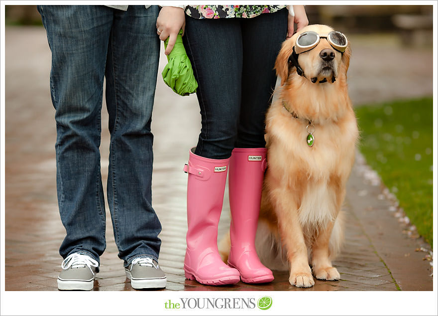 Seattle engagement session, University of Washington engagement, Washington engagement, dog engagement, engagement with doggles, rain-themed engagement, Hunter boots engagment, Vans engagement, cherry blossoms engagement, cherry blossoms at University of Washington