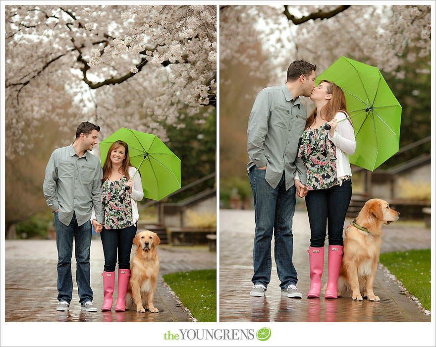 Seattle engagement session, University of Washington engagement, Washington engagement, dog engagement, engagement with doggles, rain-themed engagement, Hunter boots engagment, Vans engagement, cherry blossoms engagement, cherry blossoms at University of Washington