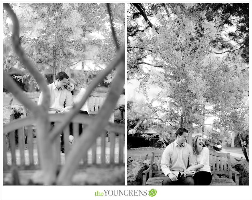 Rancho Santa Fe engagement session, San Diego engagement session, polka dot engagement session, orchard engagement session, engagement session with lemons, pink engagement session, Rancho Santa Fe Inn engagement session