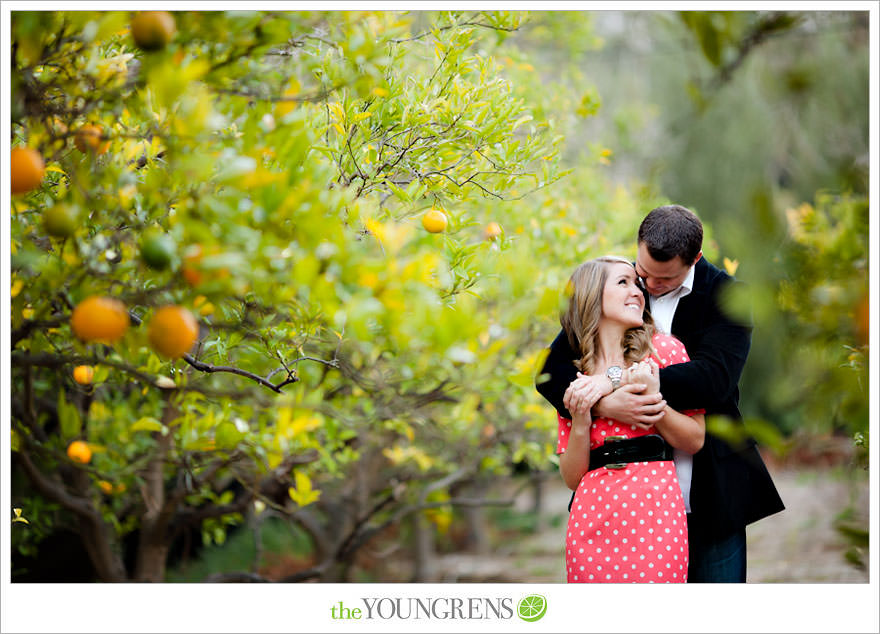 Rancho Santa Fe engagement session, San Diego engagement session, polka dot engagement session, orchard engagement session, engagement session with lemons, pink engagement session, Rancho Santa Fe Inn engagement session