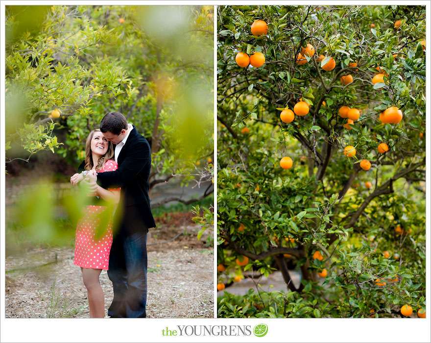 Rancho Santa Fe engagement session, San Diego engagement session, polka dot engagement session, orchard engagement session, engagement session with lemons, pink engagement session, Rancho Santa Fe Inn engagement session