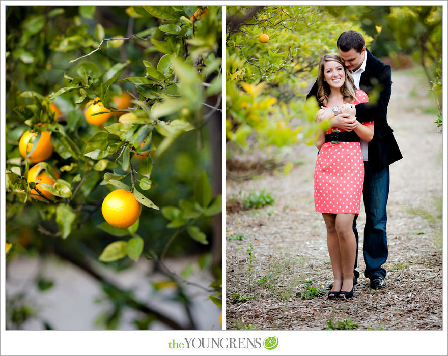 Rancho Santa Fe engagement session, San Diego engagement session, polka dot engagement session, orchard engagement session, engagement session with lemons, pink engagement session, Rancho Santa Fe Inn engagement session