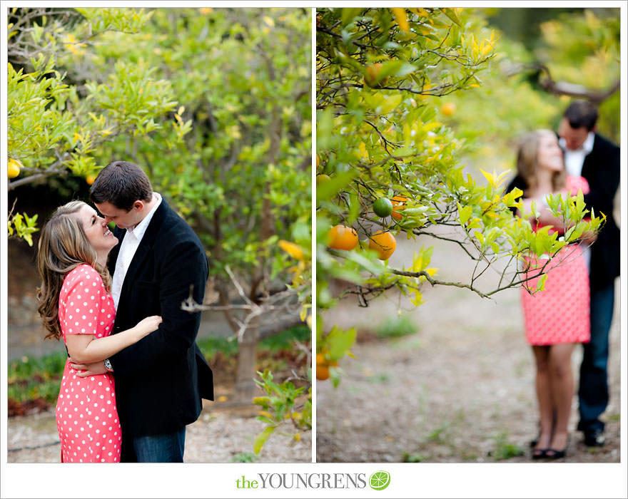 Rancho Santa Fe engagement session, San Diego engagement session, polka dot engagement session, orchard engagement session, engagement session with lemons, pink engagement session, Rancho Santa Fe Inn engagement session