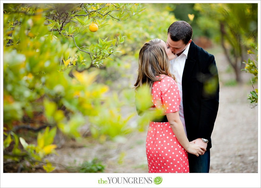 Rancho Santa Fe engagement session, San Diego engagement session, polka dot engagement session, orchard engagement session, engagement session with lemons, pink engagement session, Rancho Santa Fe Inn engagement session