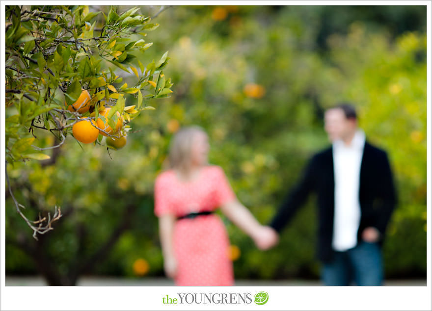 Rancho Santa Fe engagement session, San Diego engagement session, polka dot engagement session, orchard engagement session, engagement session with lemons, pink engagement session, Rancho Santa Fe Inn engagement session