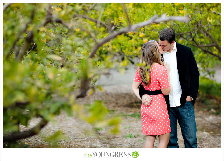 Rancho Santa Fe engagement session, San Diego engagement session, polka dot engagement session, orchard engagement session, engagement session with lemons, pink engagement session, Rancho Santa Fe Inn engagement session