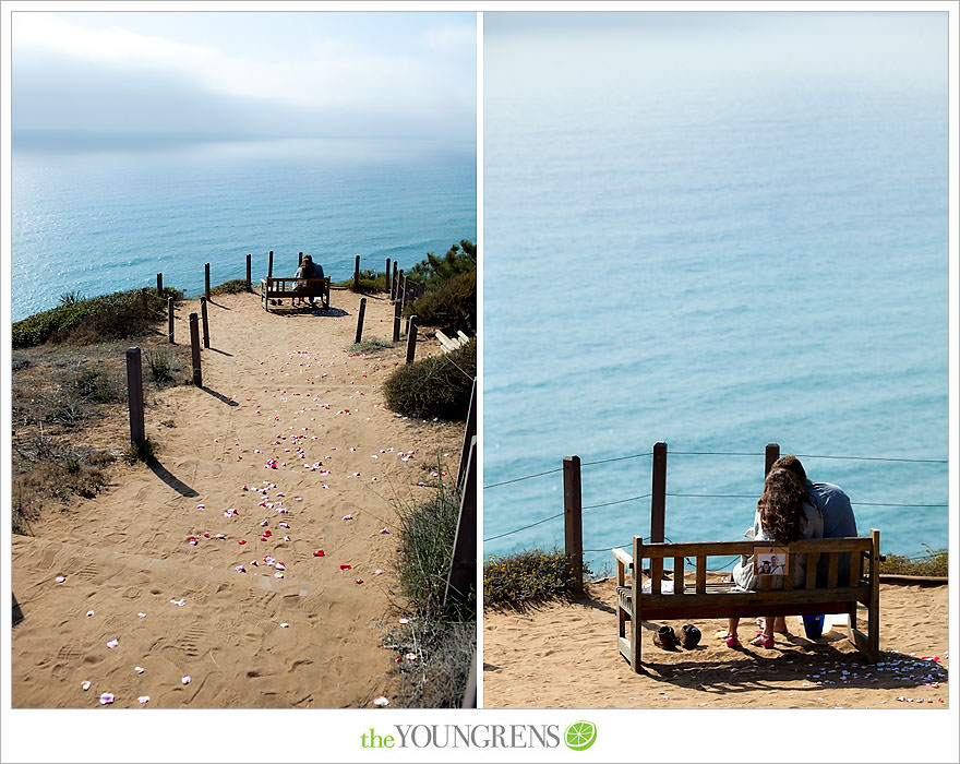 Torrey Pines proposal, proposing at Torrey Pines State Park, San Diego proposal story, La Jolla proposal story, L'Auberge proposal, Del Mar proposal, Point Loma Nazarene University proposal, PLNU proposal story, PLNU engagement Torry Pines State Park engagement