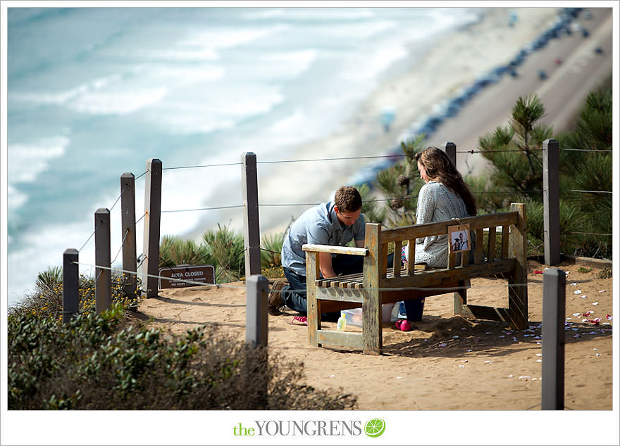 Torrey Pines proposal, proposing at Torrey Pines State Park, San Diego proposal story, La Jolla proposal story, L'Auberge proposal, Del Mar proposal, Point Loma Nazarene University proposal, PLNU proposal story, PLNU engagement Torry Pines State Park engagement