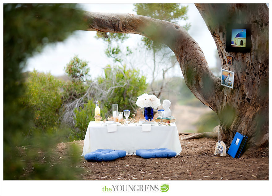 Torrey Pines proposal, proposing at Torrey Pines State Park, San Diego proposal story, La Jolla proposal story, L'Auberge proposal, Del Mar proposal, Point Loma Nazarene University proposal, PLNU proposal story, PLNU engagement Torry Pines State Park engagement