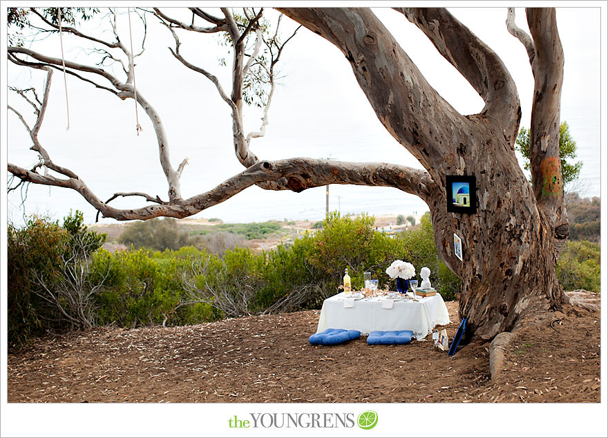 Torrey Pines proposal, proposing at Torrey Pines State Park, San Diego proposal story, La Jolla proposal story, L'Auberge proposal, Del Mar proposal, Point Loma Nazarene University proposal, PLNU proposal story, PLNU engagement Torry Pines State Park engagement