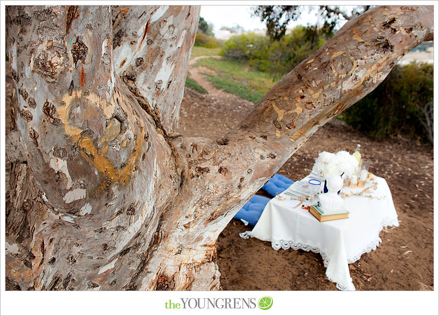 Torrey Pines proposal, proposing at Torrey Pines State Park, San Diego proposal story, La Jolla proposal story, L'Auberge proposal, Del Mar proposal, Point Loma Nazarene University proposal, PLNU proposal story, PLNU engagement Torry Pines State Park engagement