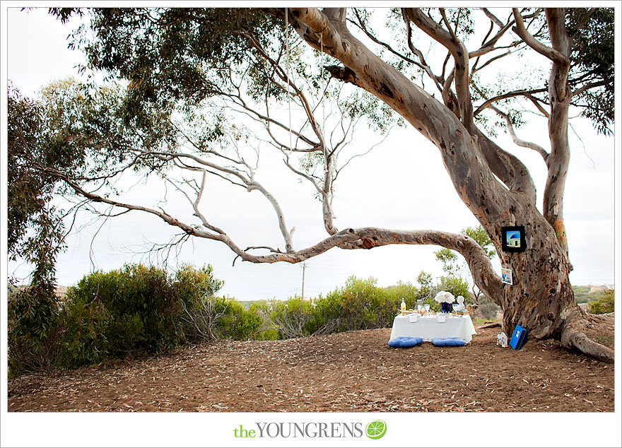 Torrey Pines proposal, proposing at Torrey Pines State Park, San Diego proposal story, La Jolla proposal story, L'Auberge proposal, Del Mar proposal, Point Loma Nazarene University proposal, PLNU proposal story, PLNU engagement Torry Pines State Park engagement