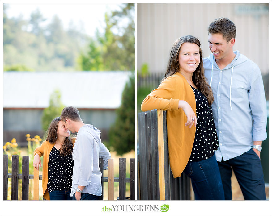 Julian engagement session, country engagement session, summer engagement session, fall engagement session, mountain engagement session, rustic engagement session, field engagement session, oak tree engagement session, meadow engagement session, San Diego county engagement session