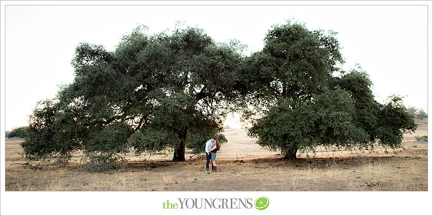 Julian engagement session, country engagement session, summer engagement session, fall engagement session, mountain engagement session, rustic engagement session, field engagement session, oak tree engagement session, meadow engagement session, San Diego county engagement session