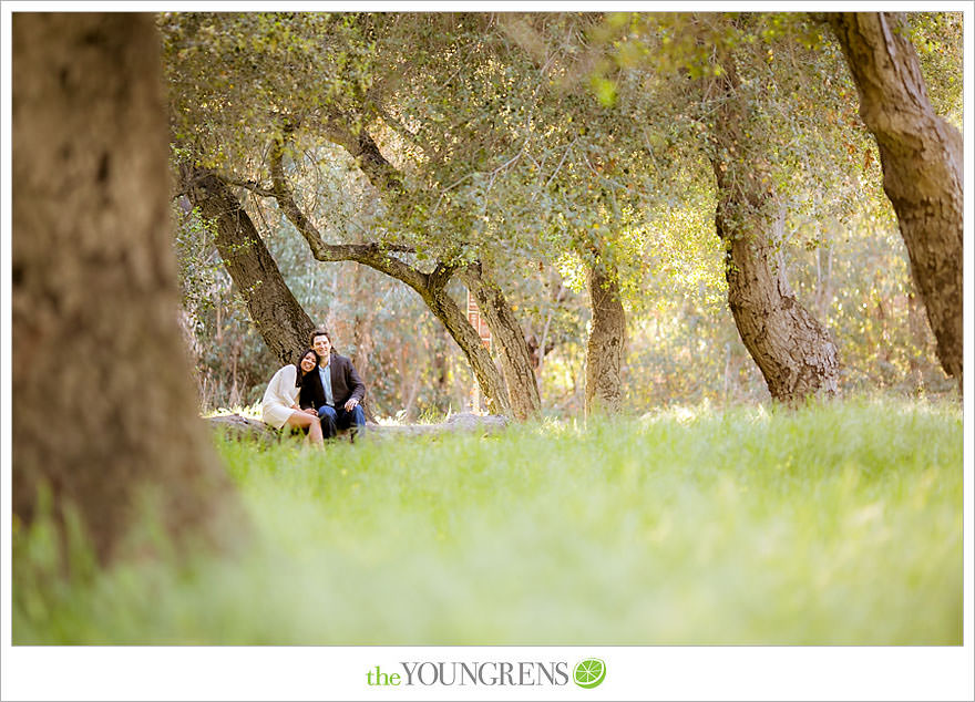 Del Dios Community Park engagement session, Del Dios engagement, Escondido engagement, meadow engagement, forest engagement, San Diego engagement, North County engagement, North County San Diego engagement