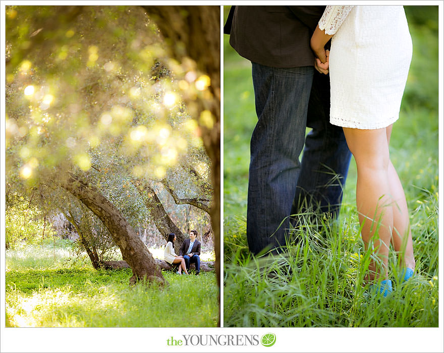 Del Dios Community Park engagement session, Del Dios engagement, Escondido engagement, meadow engagement, forest engagement, San Diego engagement, North County engagement, North County San Diego engagement