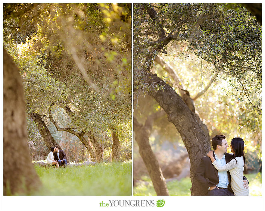 Del Dios Community Park engagement session, Del Dios engagement, Escondido engagement, meadow engagement, forest engagement, San Diego engagement, North County engagement, North County San Diego engagement