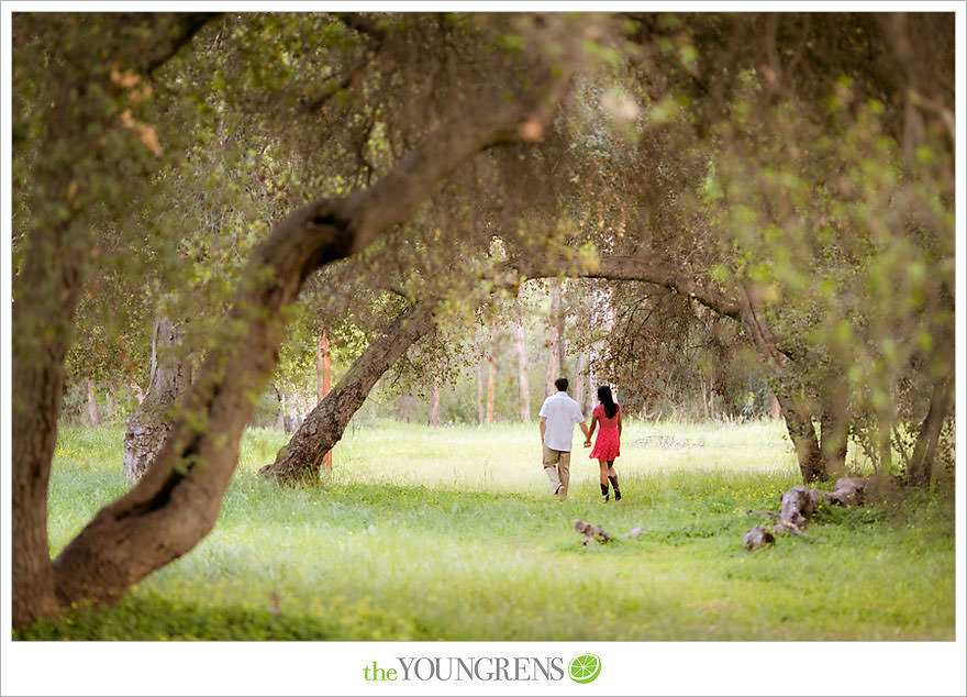 Del Dios Community Park engagement session, Del Dios engagement, Escondido engagement, meadow engagement, forest engagement, San Diego engagement, North County engagement, North County San Diego engagement