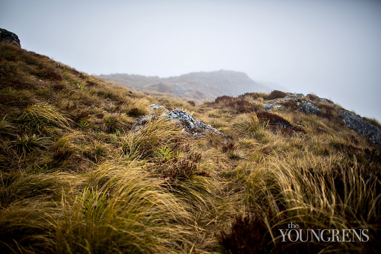 New Zealand landscape images, New Zealand South Island, Fox Glacier images, Queen Charlotte Sound images, Routeburn Trek images, Haast beach images