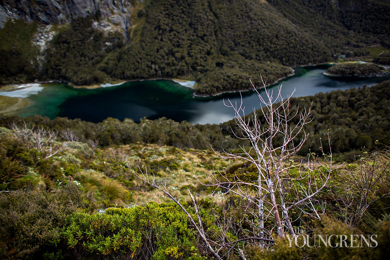 New Zealand landscape images, New Zealand South Island, Fox Glacier images, Queen Charlotte Sound images, Routeburn Trek images, Haast beach images