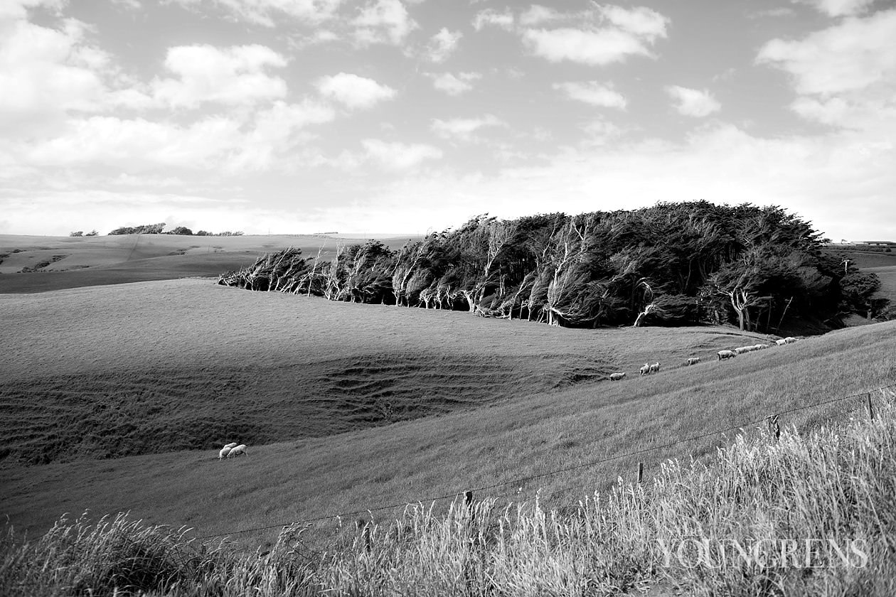 New Zealand landscape images, New Zealand South Island, Fox Glacier images, Queen Charlotte Sound images, Routeburn Trek images, Haast beach images