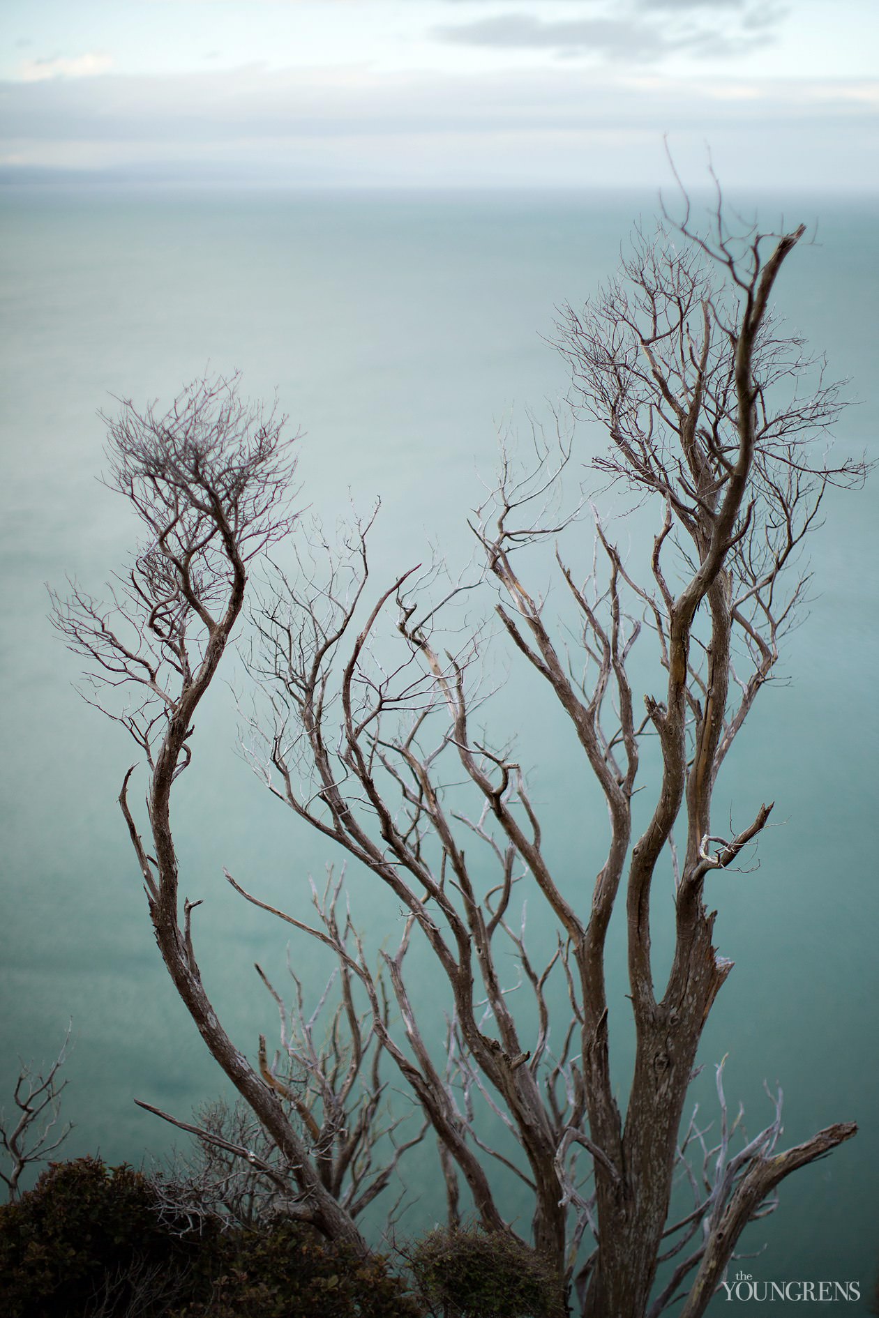 New Zealand landscape images, New Zealand South Island, Fox Glacier images, Queen Charlotte Sound images, Routeburn Trek images, Haast beach images