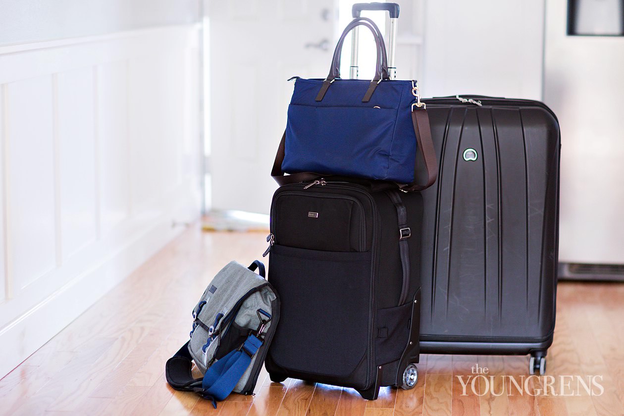 travelers pro luggage