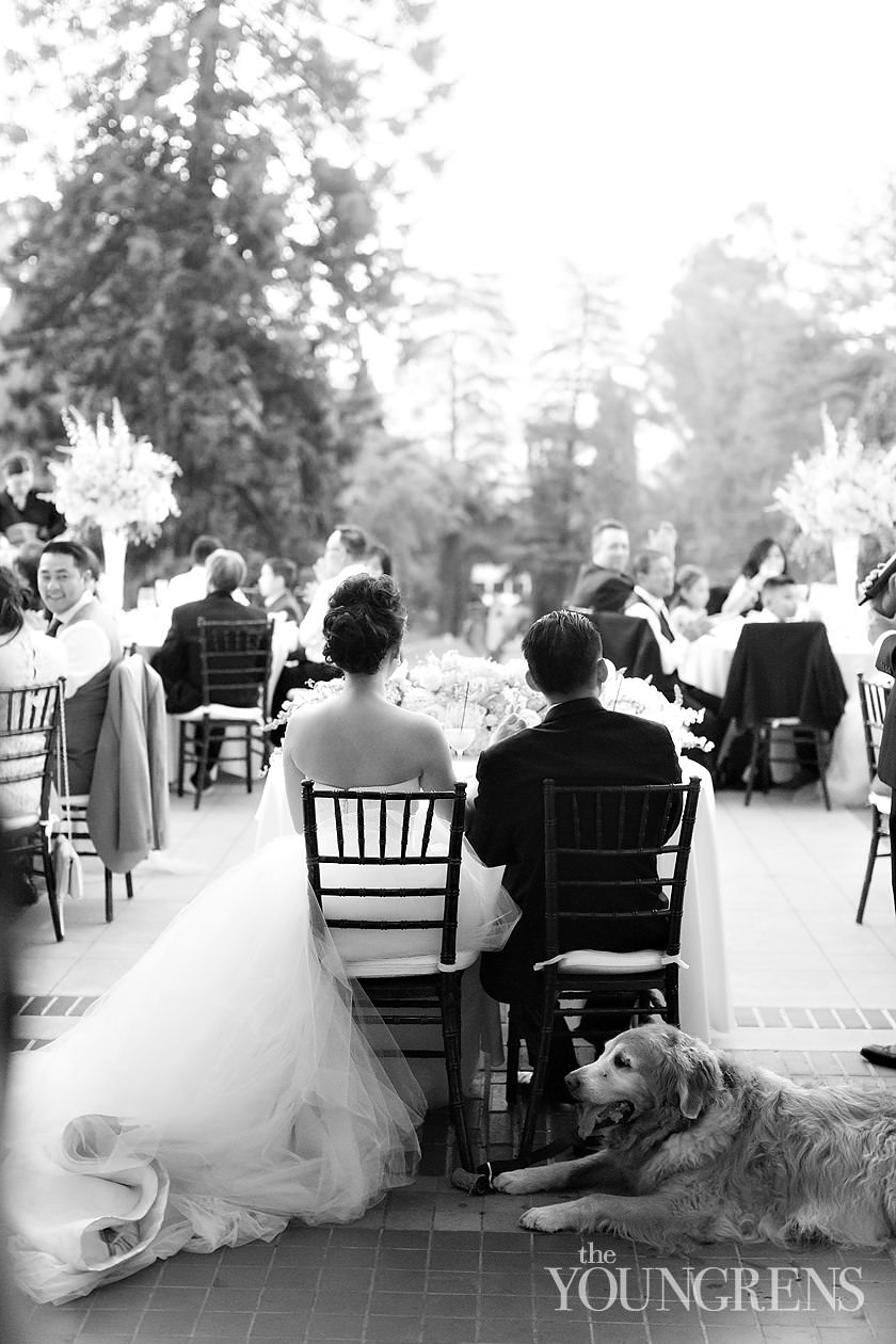 Villa Montalvo Wedding Part Two, Photography by The Youngrens villa montalvo wedding, traditional vietnamese wedding, catholic ceremony, san jose wedding, los gatos wedding, saratoga wedding, montalvo arts center wedding, bay area wedding, black tie los gatos wedding, estate wedding, northern california estate wedding