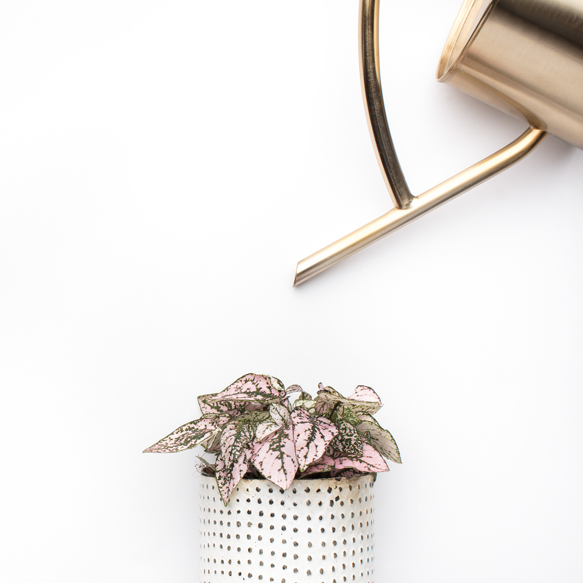 Styled Stock Photos for Instagram and Social Media, Flatlays, Social Squares from the SC Stockshop